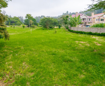 land for sale cheap