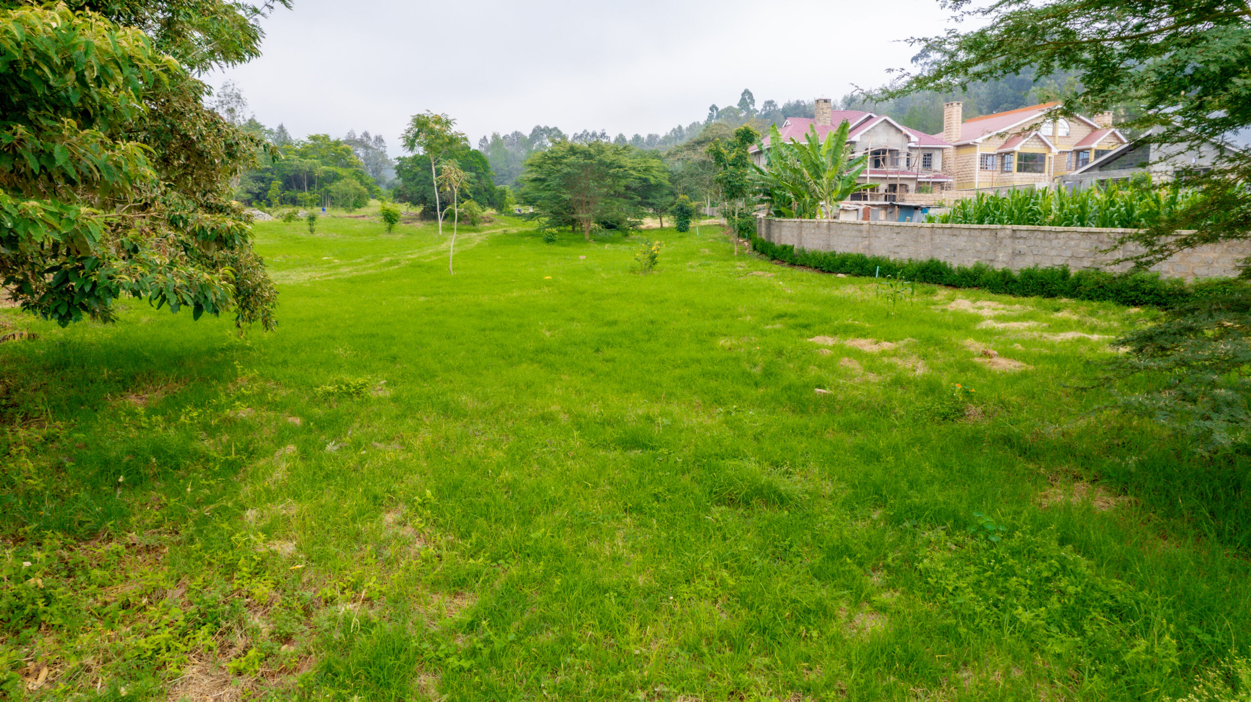 land for sale cheap