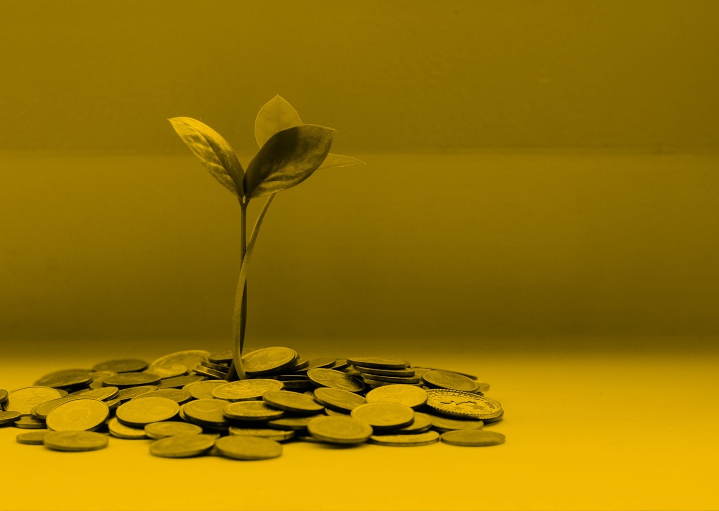 reserve fund advisors